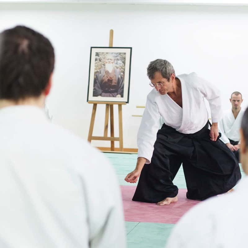 EDC-Aikido-Lyonnais-2014-11-Ecole-Des-Cadres-Formation-continue-28