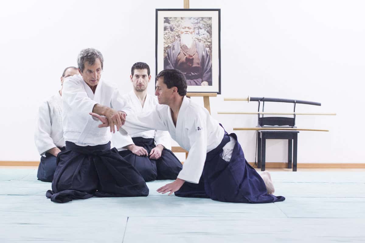 EDC-Aikido-Lyonnais-2014-11-Ecole-Des-Cadres-Formation-continue-29