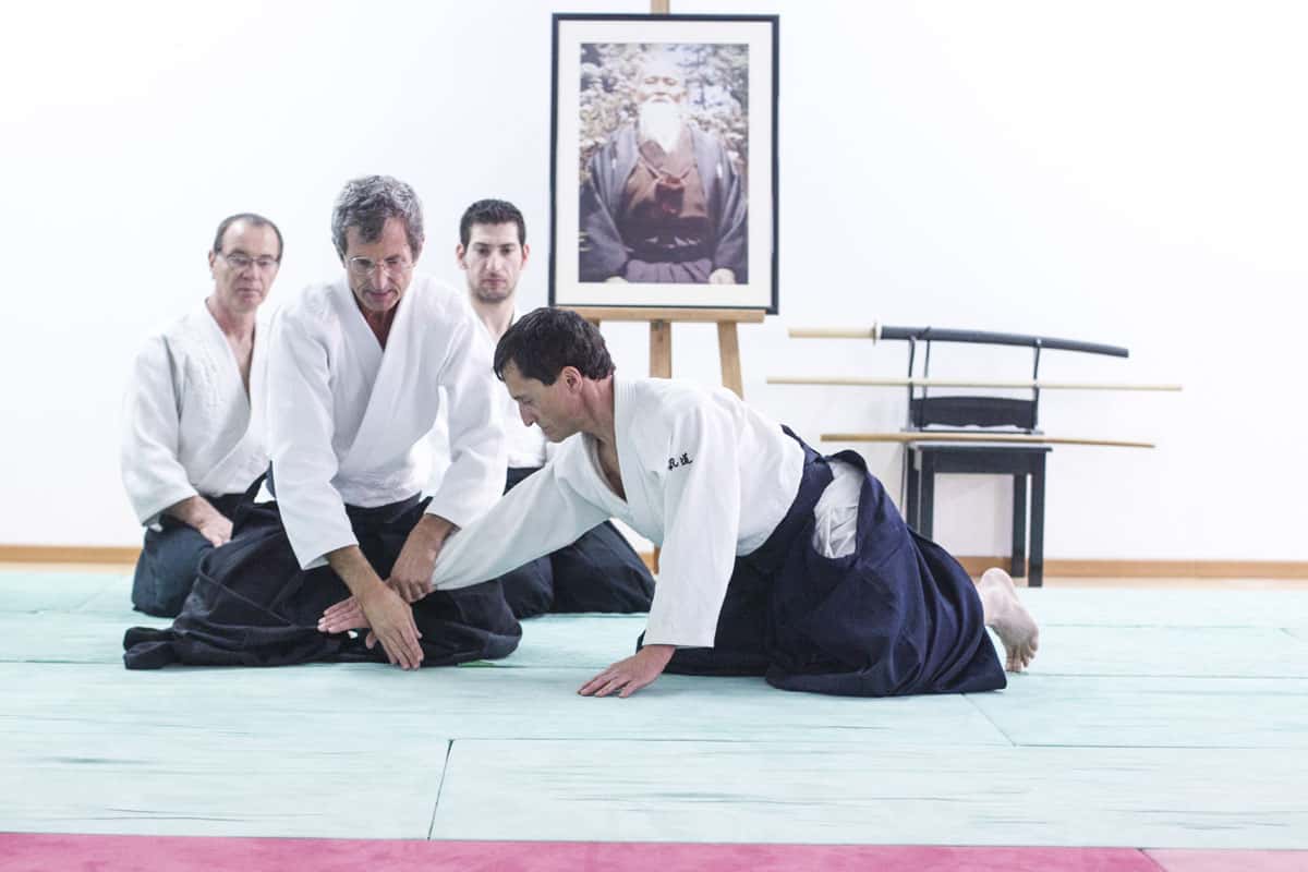 EDC-Aikido-Lyonnais-2014-11-Ecole-Des-Cadres-Formation-continue-30