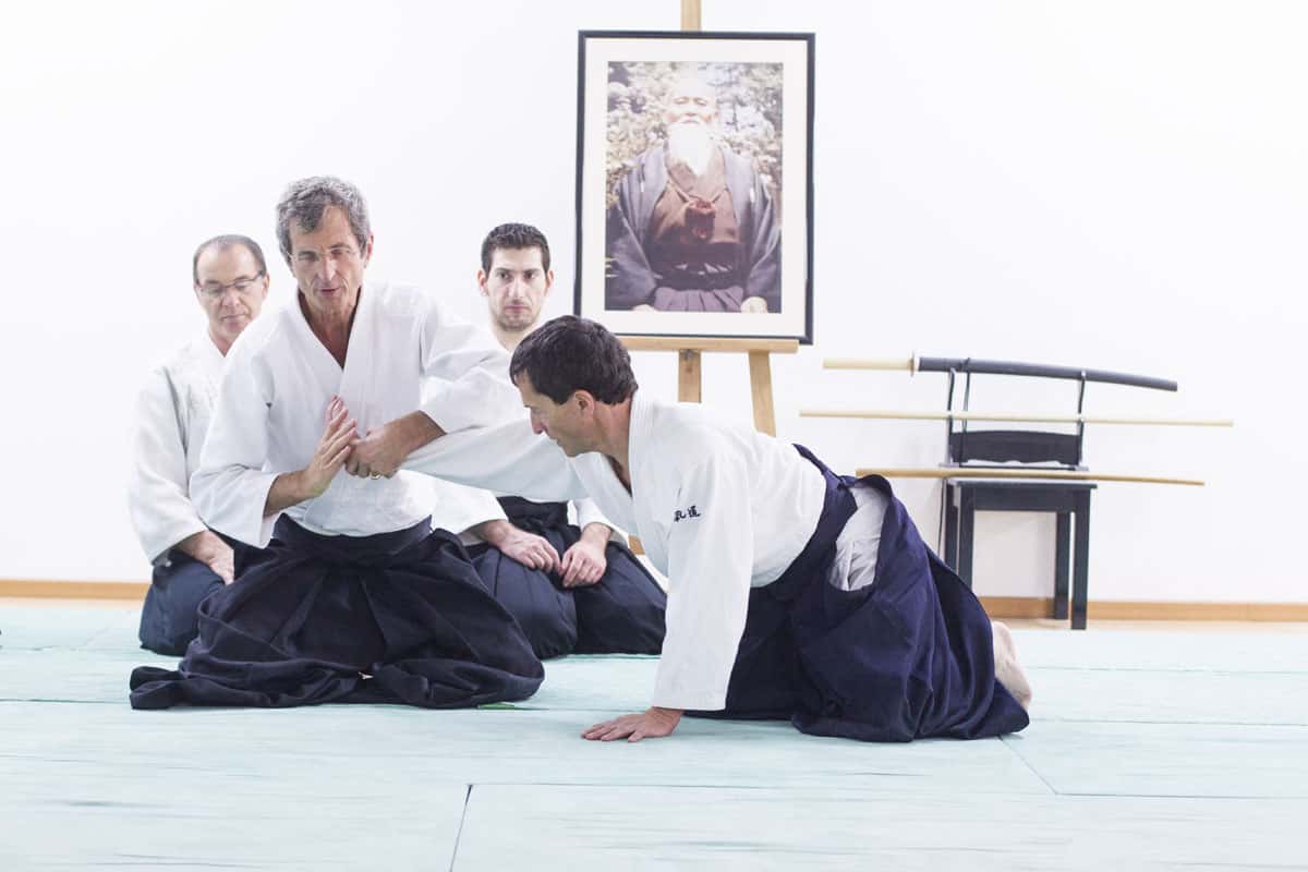 EDC-Aikido-Lyonnais-2014-11-Ecole-Des-Cadres-Formation-continue-31