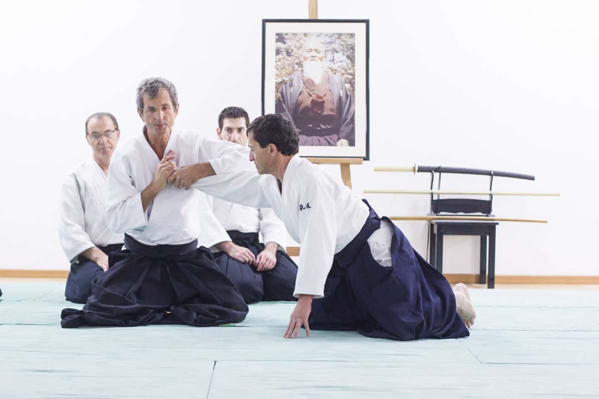 EDC-Aikido-Lyonnais-2014-11-Ecole-Des-Cadres-Formation-continue-32