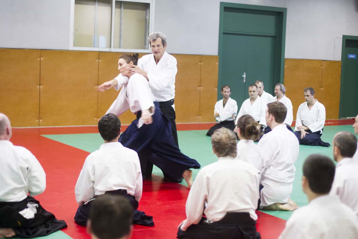 EDC-Aikido-Lyonnais-2014-11-Ecole-Des-Cadres-Formation-continue-33