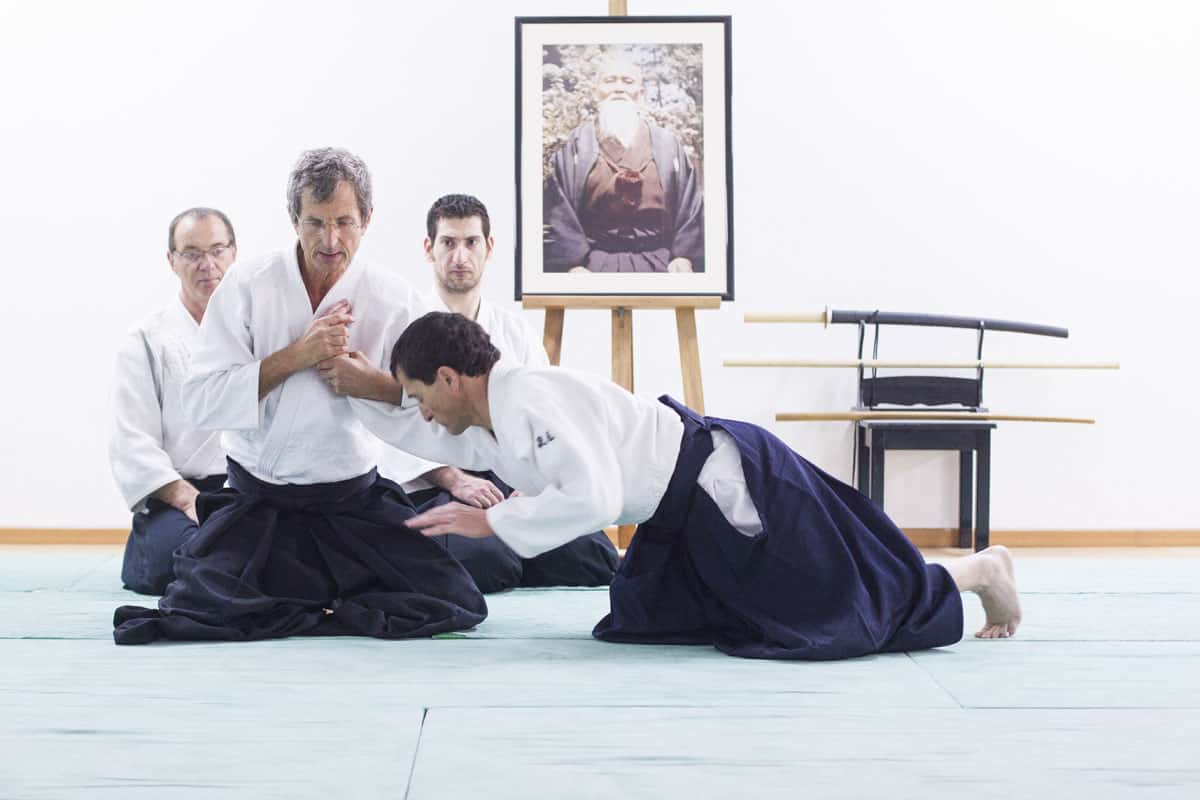 EDC-Aikido-Lyonnais-2014-11-Ecole-Des-Cadres-Formation-continue-34