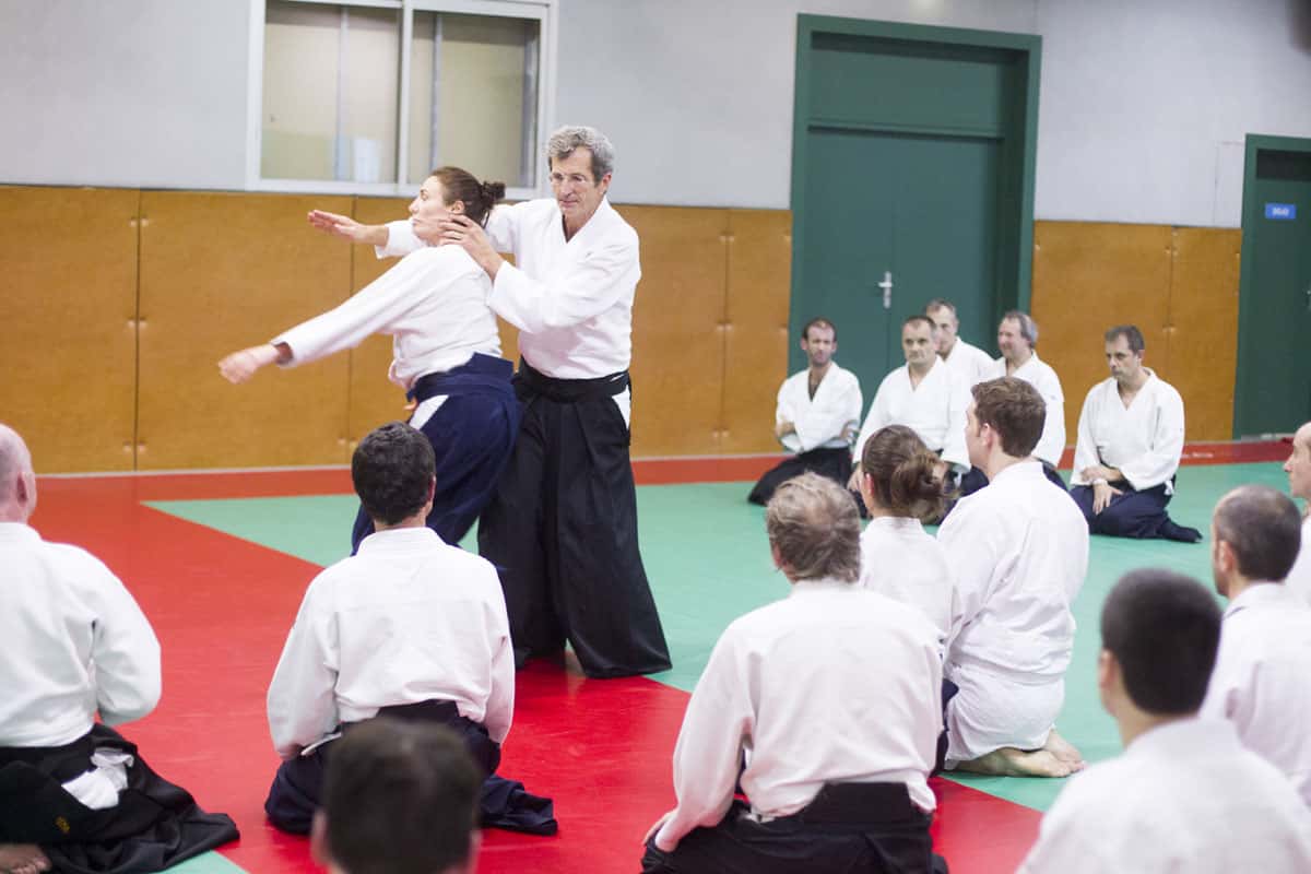 EDC-Aikido-Lyonnais-2014-11-Ecole-Des-Cadres-Formation-continue-35
