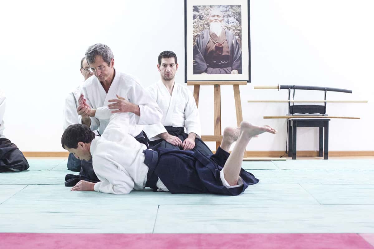 EDC-Aikido-Lyonnais-2014-11-Ecole-Des-Cadres-Formation-continue-36