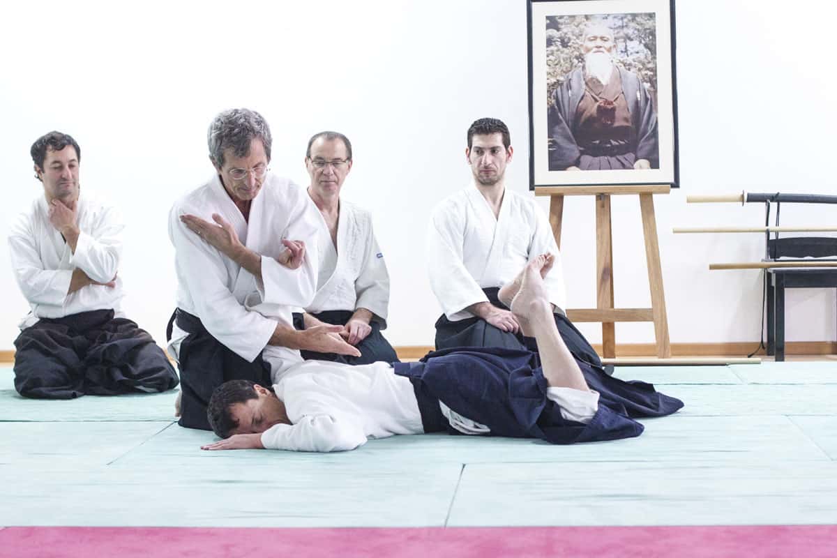 EDC-Aikido-Lyonnais-2014-11-Ecole-Des-Cadres-Formation-continue-37