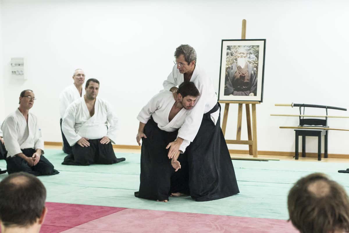 EDC-Aikido-Lyonnais-2014-11-Ecole-Des-Cadres-Formation-continue-38