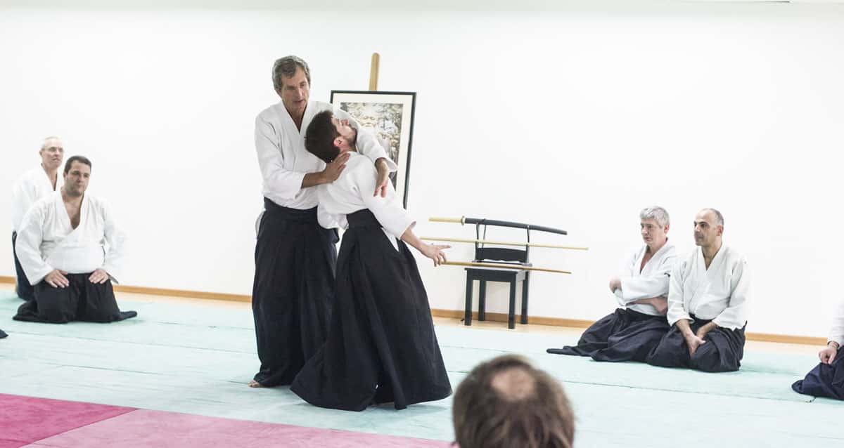 EDC-Aikido-Lyonnais-2014-11-Ecole-Des-Cadres-Formation-continue-39