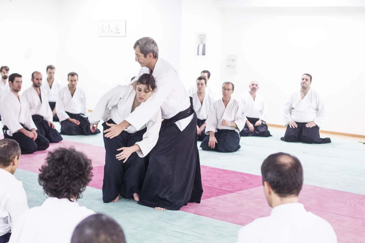EDC-Aikido-Lyonnais-2014-11-Ecole-Des-Cadres-Formation-continue-40