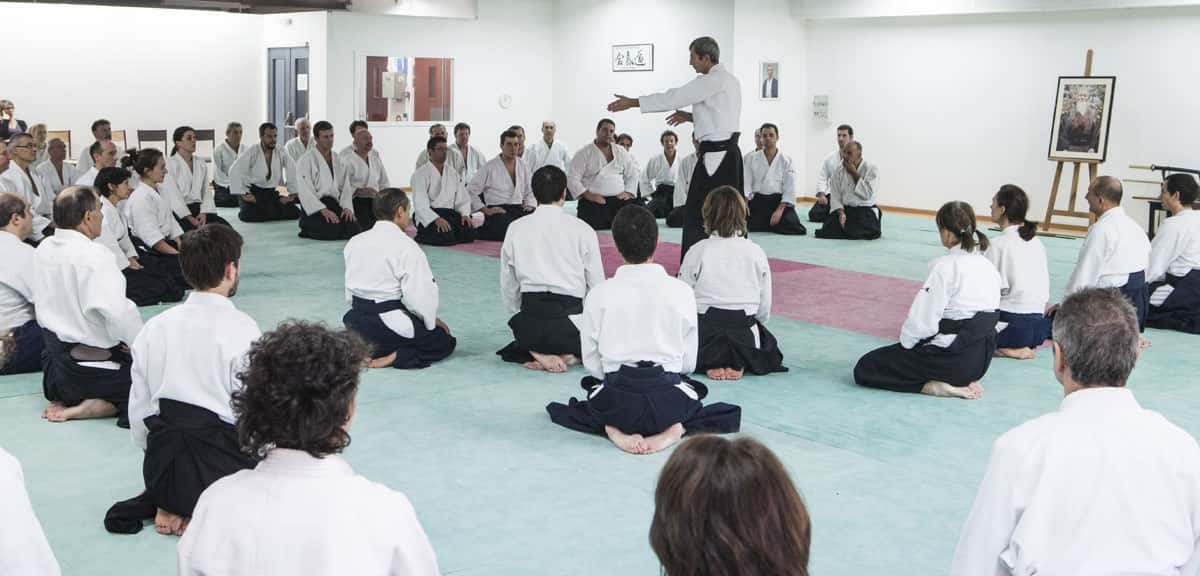 EDC-Aikido-Lyonnais-2014-11-Ecole-Des-Cadres-Formation-continue-41