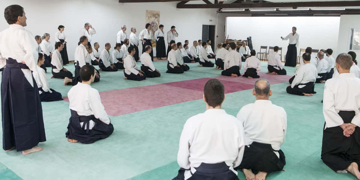 EDC-Aikido-Lyonnais-2014-11-Ecole-Des-Cadres-Formation-continue-42