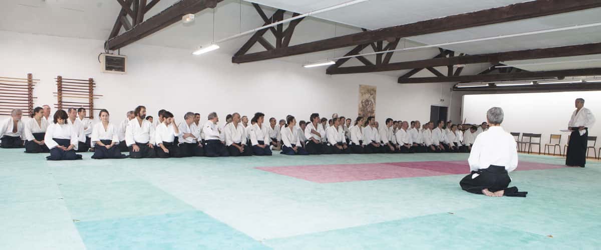 EDC-Aikido-Lyonnais-2014-11-Ecole-Des-Cadres-Formation-continue-43