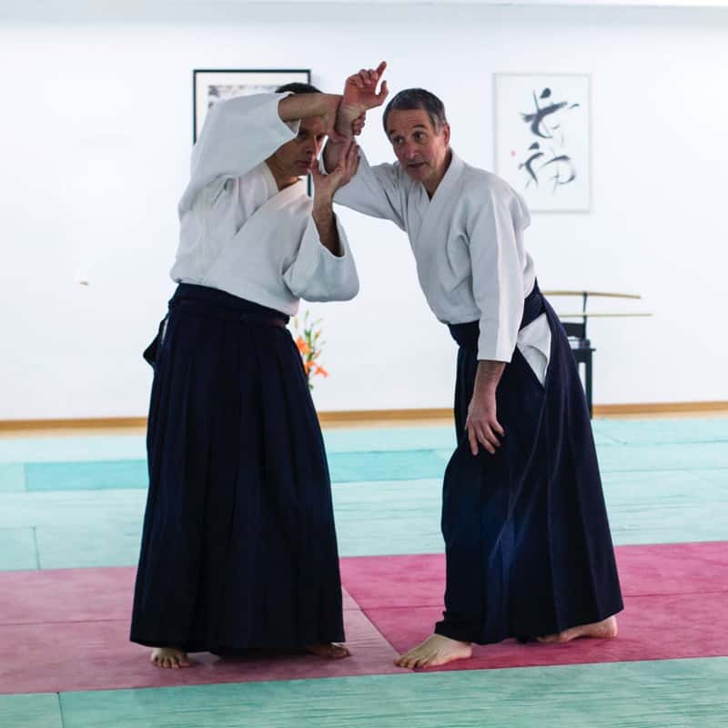 Stage-Aikido-Lyonnais-2015-01-Enseignants-02