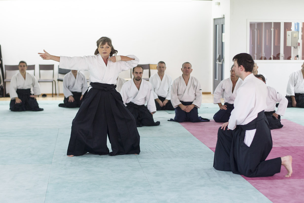 EDC-Aikido-Lyonnais-2015-11-Ecole-Des-Cadres-Formation-continue-02