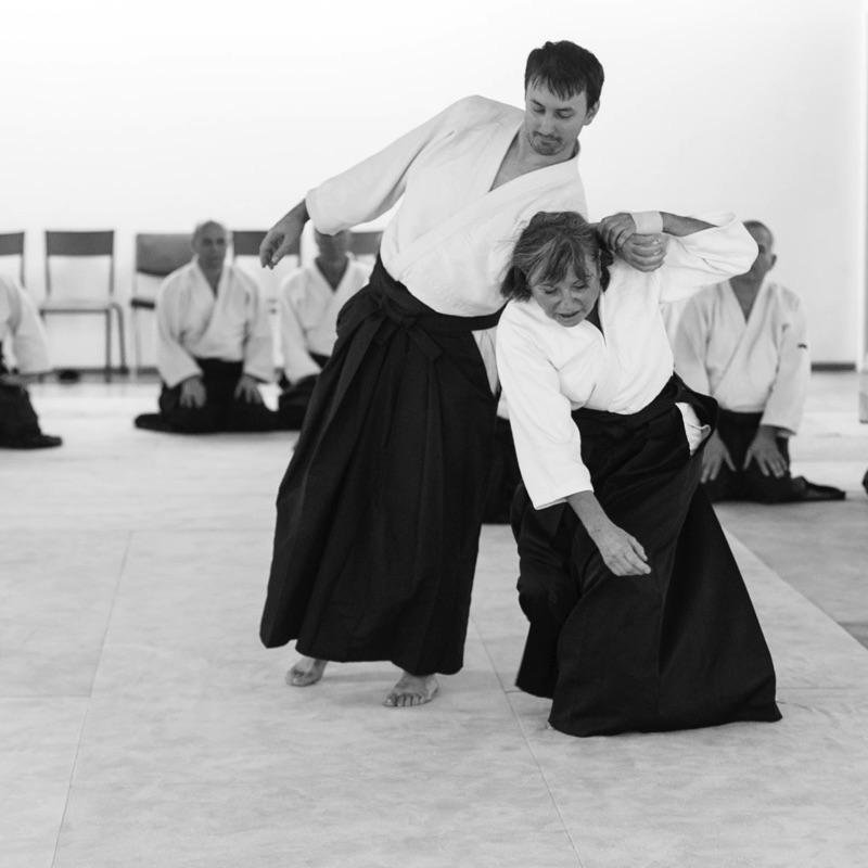 EDC-Aikido-Lyonnais-2015-11-Ecole-Des-Cadres-Formation-continue-03