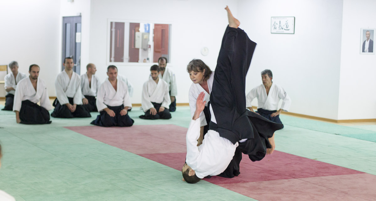 EDC-Aikido-Lyonnais-2015-11-Ecole-Des-Cadres-Formation-continue-04