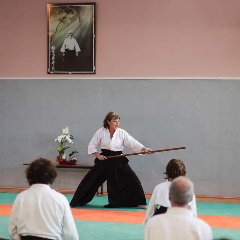 Stage-Aikido-Lyonnais-2015-11-Tous-Niveaux-05