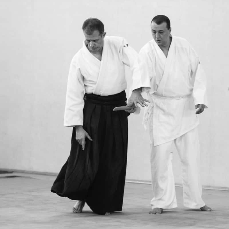 Stage-Aikido-Lyonnais-2015-11-Tous-Niveaux-09
