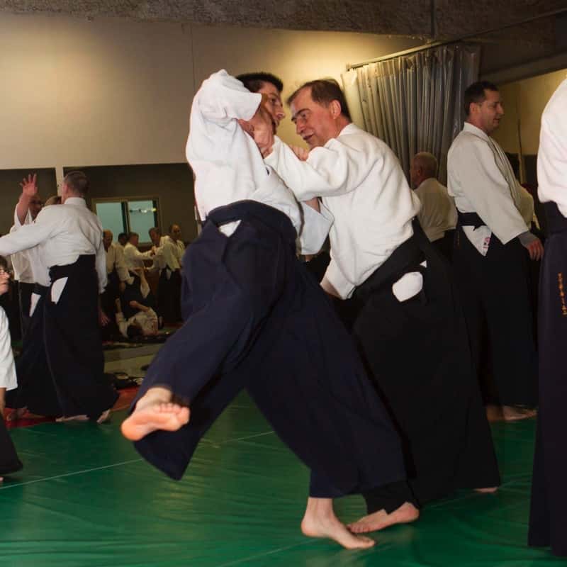 Stage-Aikido-Lyonnais-2016-02-CEN-ACT-02