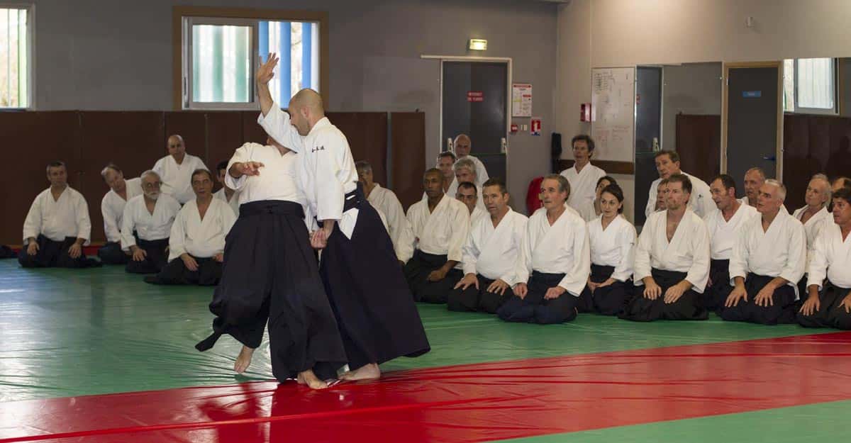 Stage-Aikido-Lyonnais-2016-02-CEN-ACT-07
