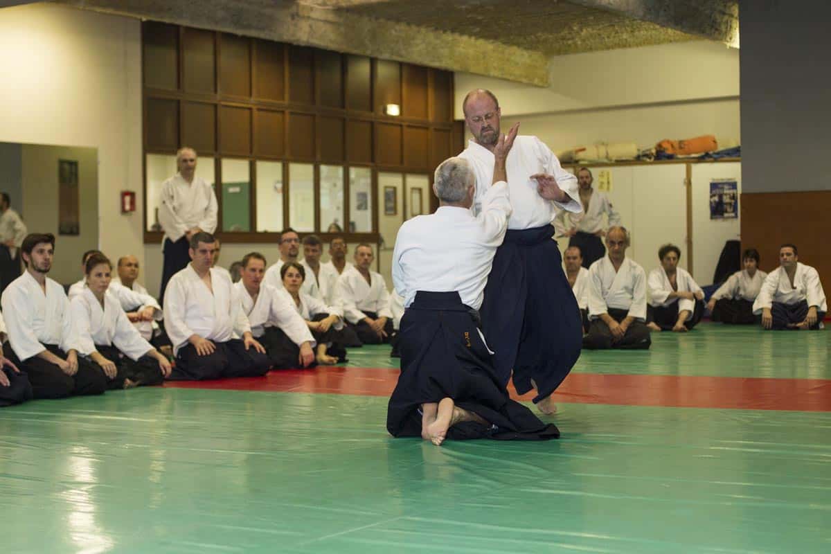 Stage-Aikido-Lyonnais-2016-02-Prepa-3-4-DAN-02