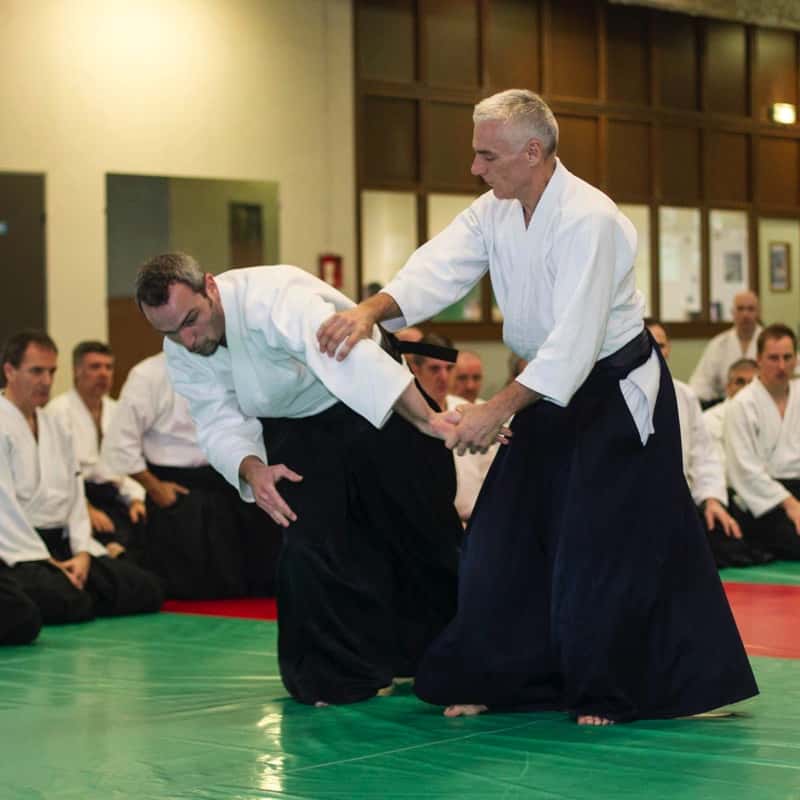 Stage-Aikido-Lyonnais-2016-02-Prepa-3-4-DAN-05