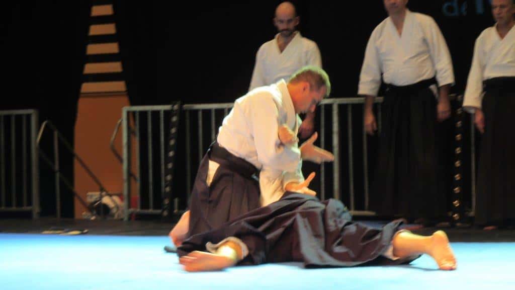 Salon-Aikido-Lyonnais-2016-Japan-Touch-2016-04