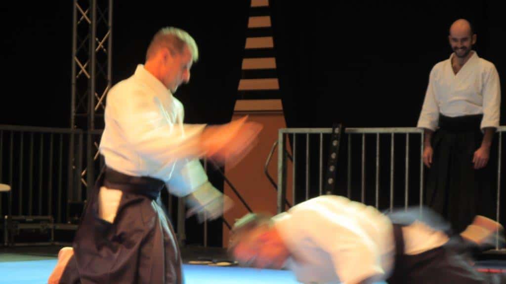 Salon-Aikido-Lyonnais-2016-Japan-Touch-2016-06