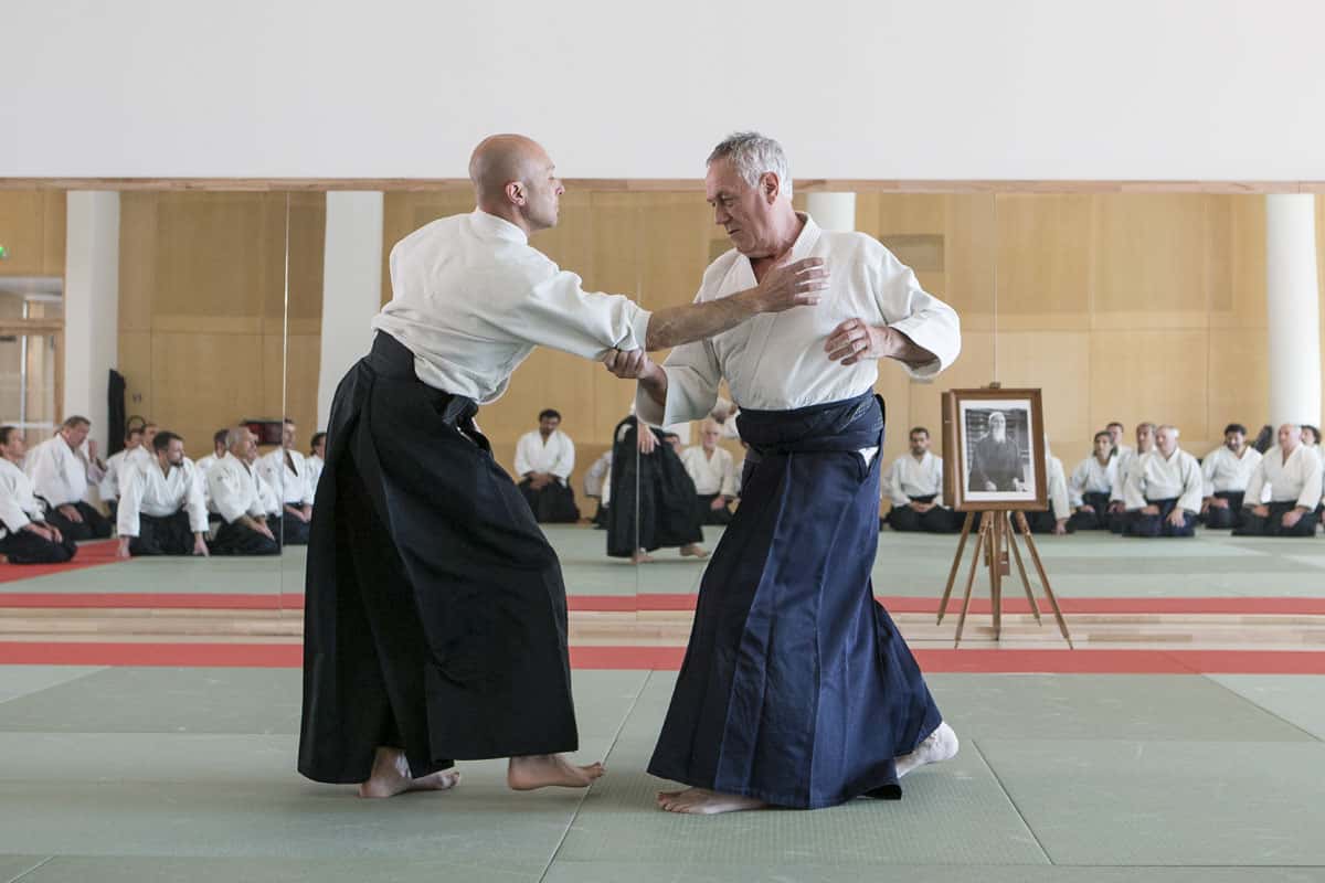 EDC-Aikido-Lyonnais-2017-04-Ecole-Des-Cadres-Formation-continue-01