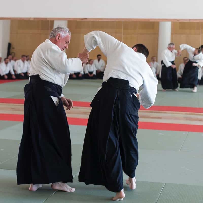 EDC-Aikido-Lyonnais-2017-04-Ecole-Des-Cadres-Formation-continue-02