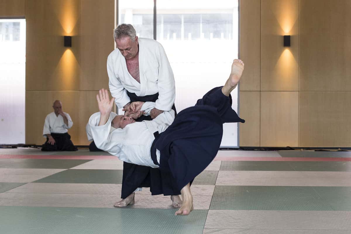 EDC-Aikido-Lyonnais-2017-04-Ecole-Des-Cadres-Formation-continue-03