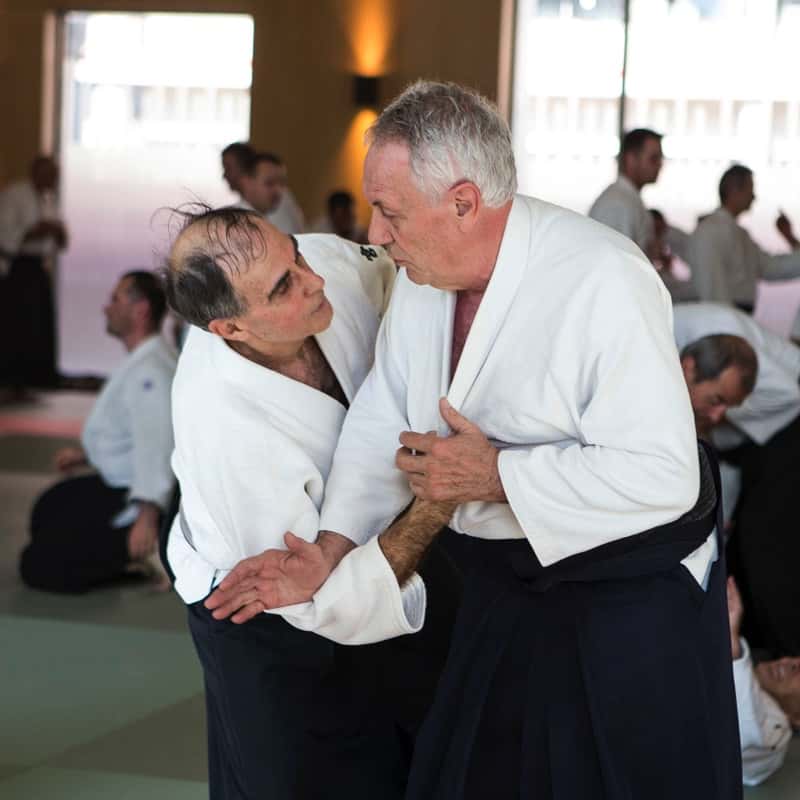 EDC-Aikido-Lyonnais-2017-04-Ecole-Des-Cadres-Formation-continue-04