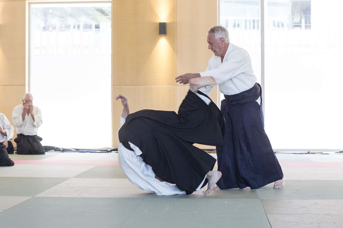EDC-Aikido-Lyonnais-2017-04-Ecole-Des-Cadres-Formation-continue-09