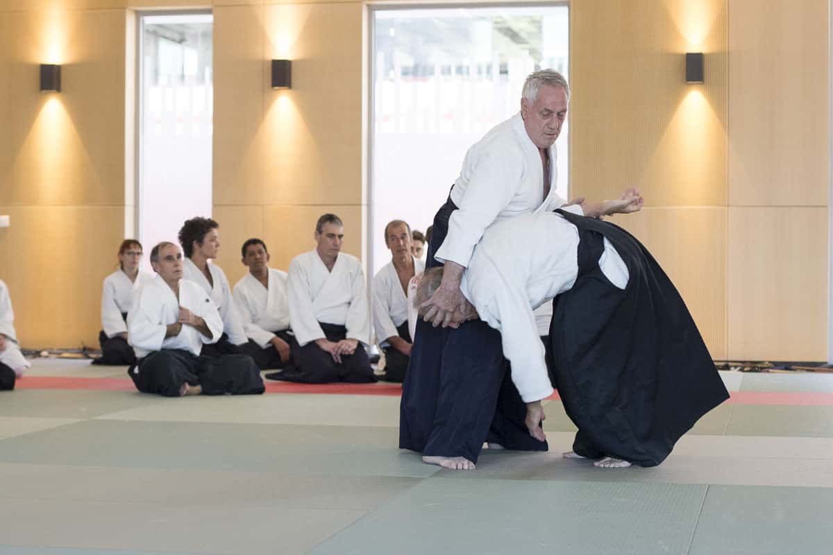 EDC-Aikido-Lyonnais-2017-04-Ecole-Des-Cadres-Formation-continue-10