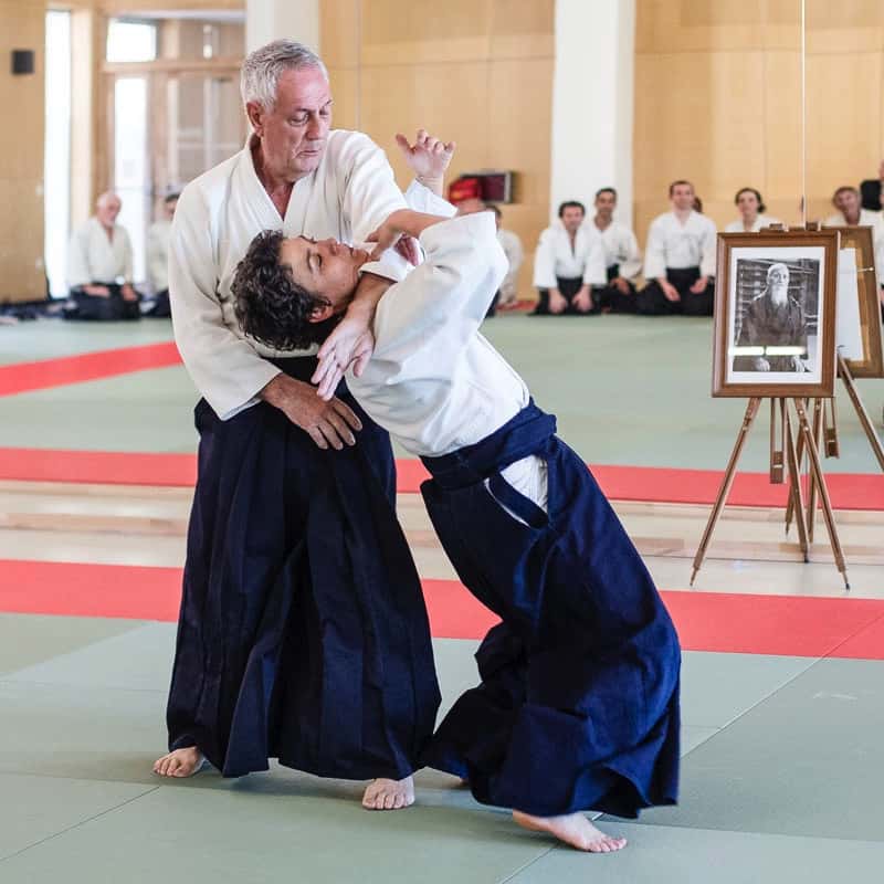 EDC-Aikido-Lyonnais-2017-04-Ecole-Des-Cadres-Formation-continue-11