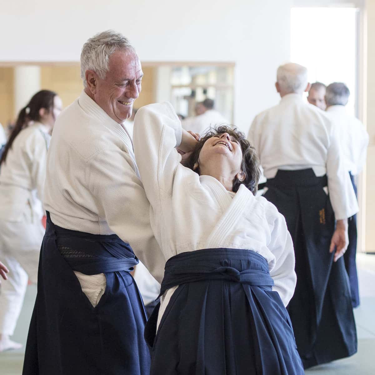 EDC-Aikido-Lyonnais-2017-04-Ecole-Des-Cadres-Formation-continue-12