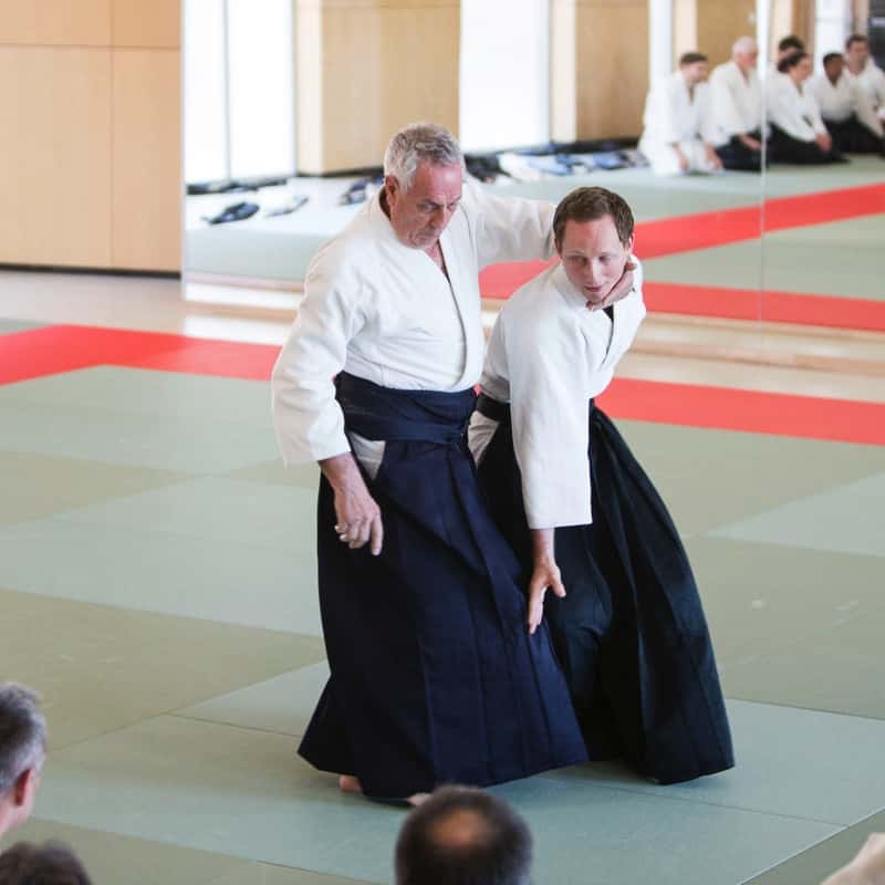 EDC-Aikido-Lyonnais-2017-04-Ecole-Des-Cadres-Formation-continue-13