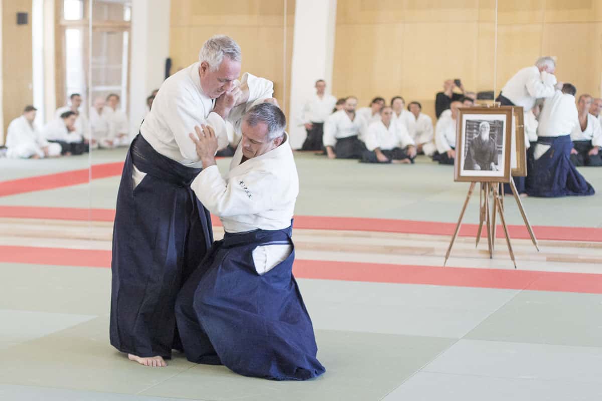 EDC-Aikido-Lyonnais-2017-04-Ecole-Des-Cadres-Formation-continue-14