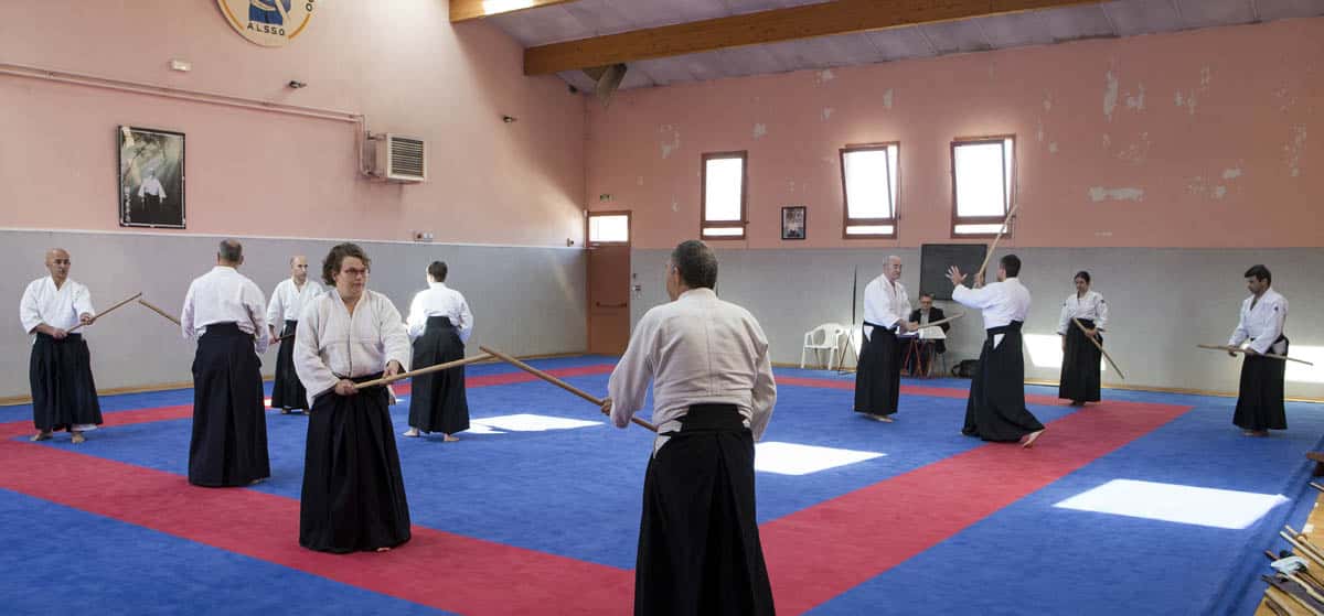 Formation-Aikido-Lyonnais-2018-05-BF-Examen-session-KOKORO-04