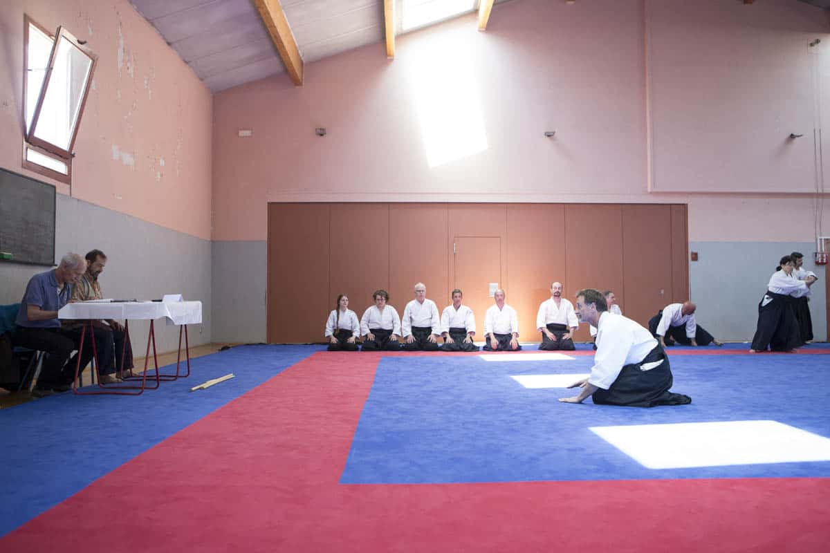 Formation-Aikido-Lyonnais-2018-05-BF-Examen-session-KOKORO-17