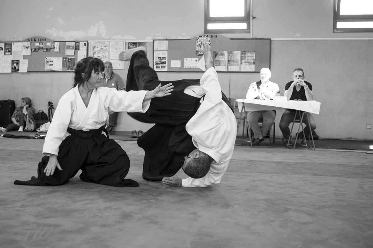 Formation-Aikido-Lyonnais-2018-05-BF-Examen-session-KOKORO-21