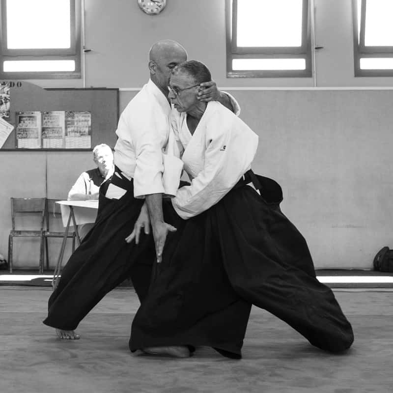 Formation-Aikido-Lyonnais-2018-05-BF-Examen-session-KOKORO-23