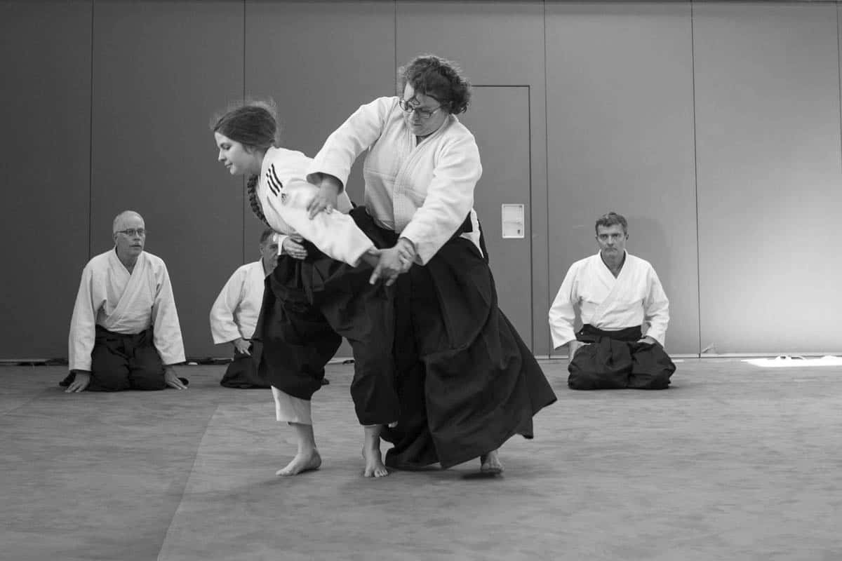 Formation-Aikido-Lyonnais-2018-05-BF-Examen-session-KOKORO-24