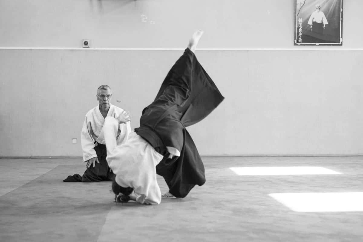 Formation-Aikido-Lyonnais-2018-05-BF-Examen-session-KOKORO-26