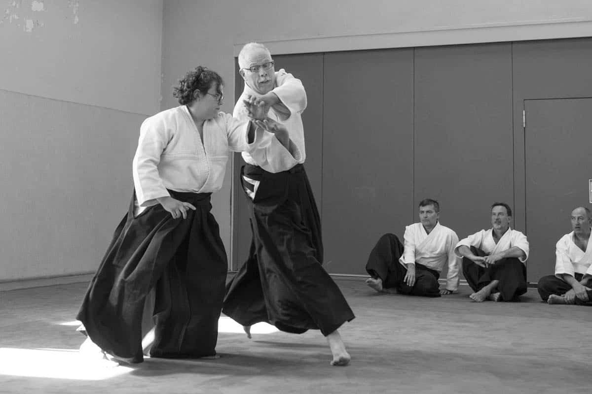Formation-Aikido-Lyonnais-2018-05-BF-Examen-session-KOKORO-29