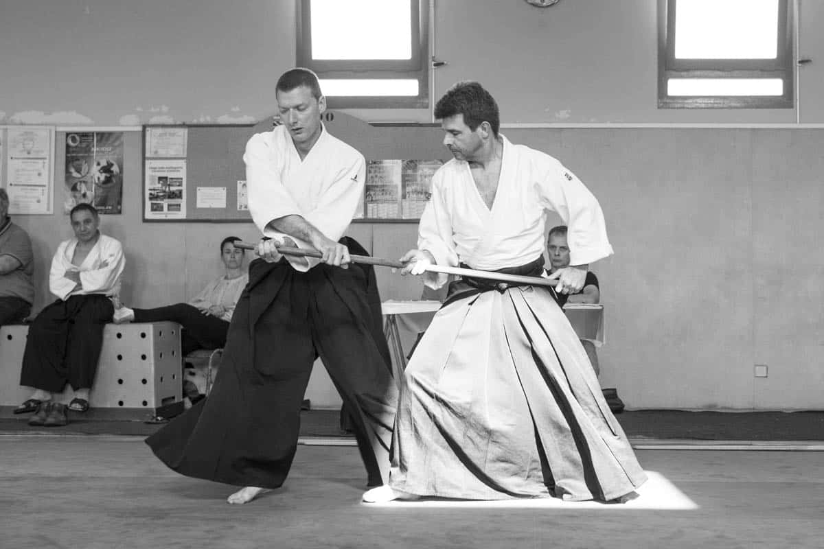 Formation-Aikido-Lyonnais-2018-05-BF-Examen-session-KOKORO-32