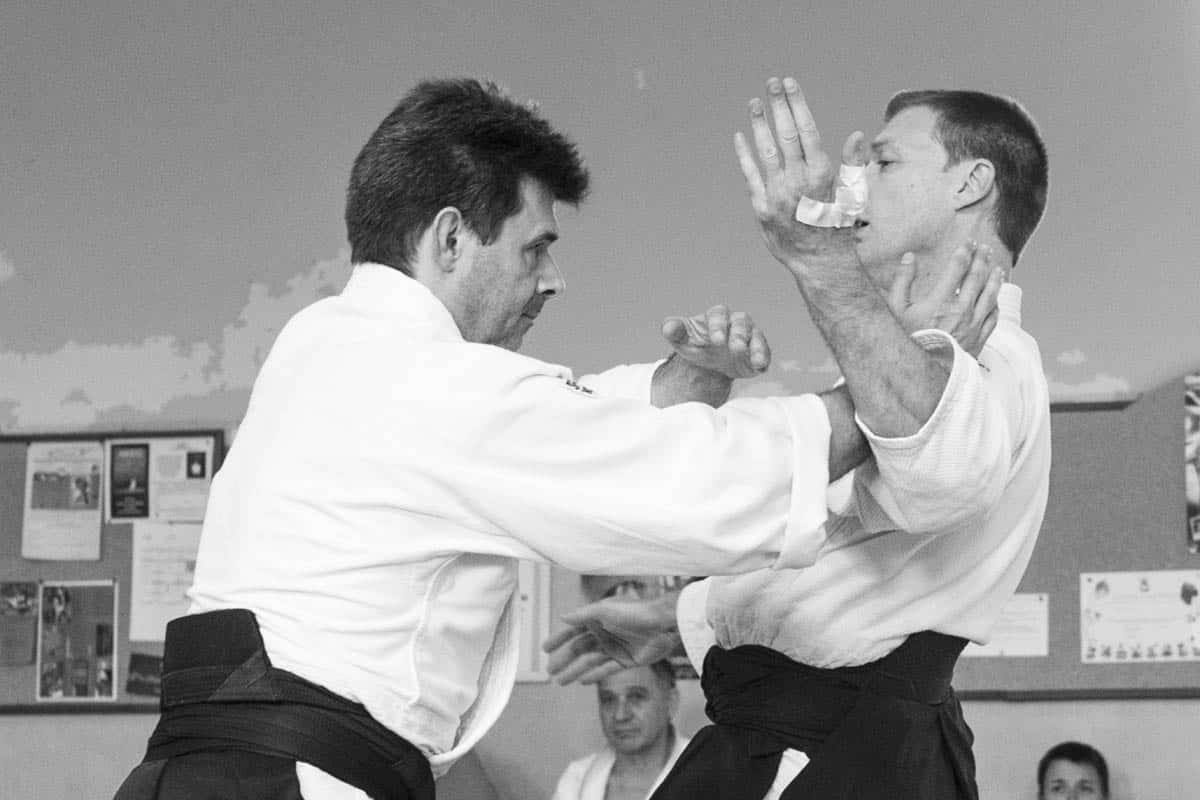 Formation-Aikido-Lyonnais-2018-05-BF-Examen-session-KOKORO-33