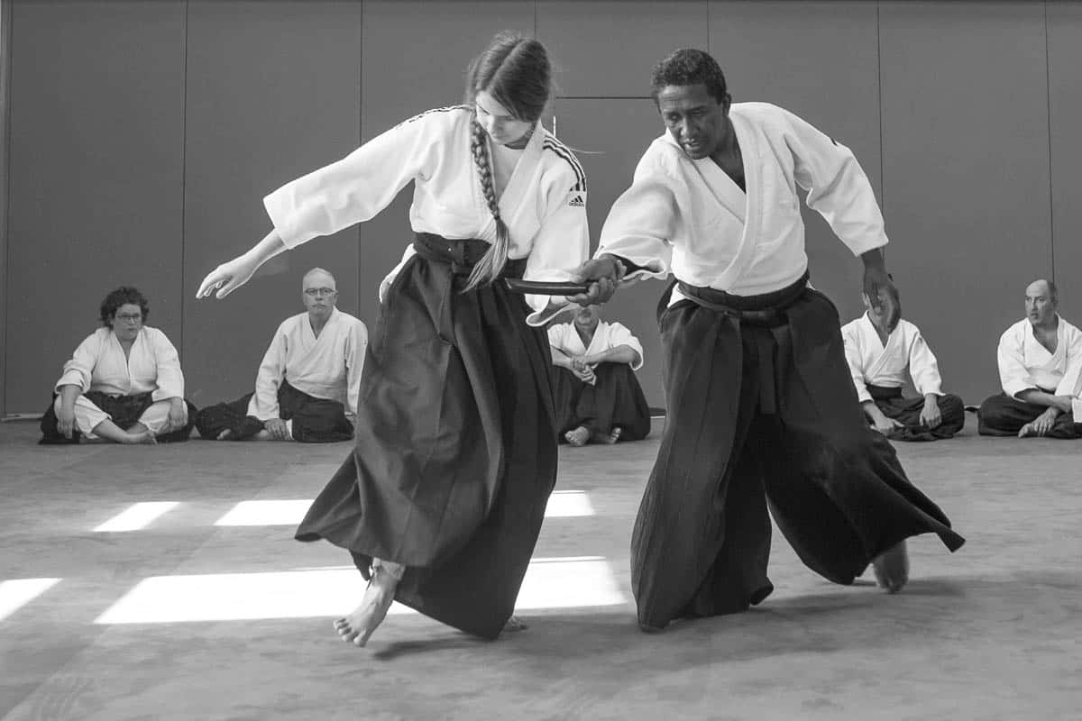 Formation-Aikido-Lyonnais-2018-05-BF-Examen-session-KOKORO-34