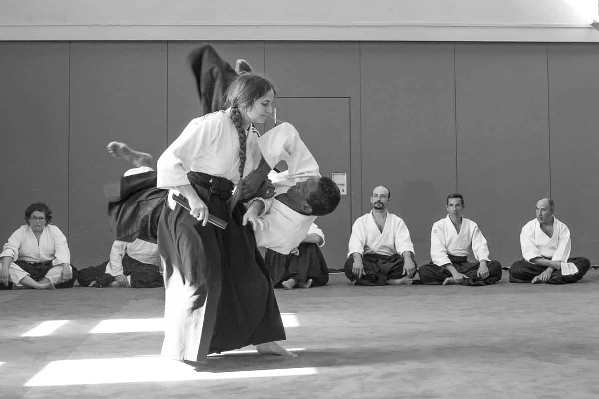 Formation-Aikido-Lyonnais-2018-05-BF-Examen-session-KOKORO-35