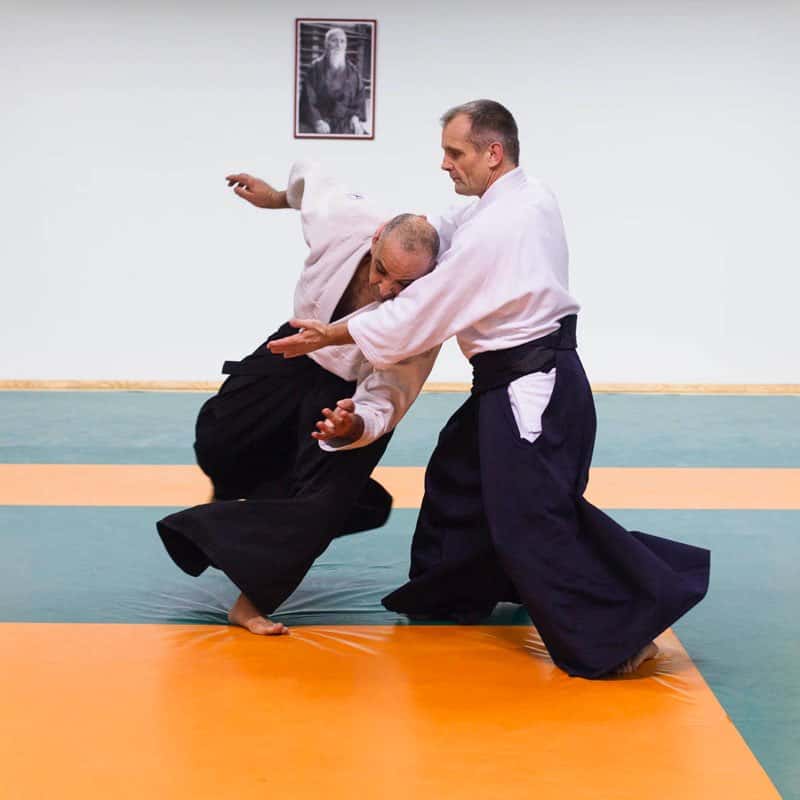 EDC Aikido Lyonnais 2014 01 Ecole Des Cadres Prepa 1 2 DAN 14